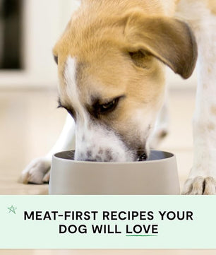 Open Farm Canned Puppy Food, Paté for Complete & Balanced Nutrition, Grain-Free and Legume-Free, Chicken & Salmon Recipe for Puppies, 12.5oz Cans (Pack of 12)