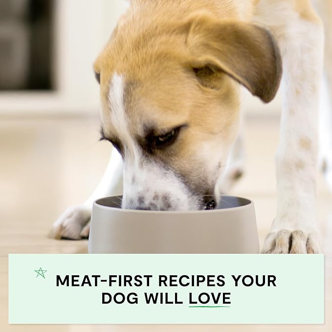 Open Farm Canned Puppy Food, Paté for Complete & Balanced Nutrition, Grain-Free and Legume-Free, Chicken & Salmon Recipe for Puppies, 12.5oz Cans (Pack of 12)