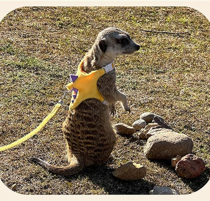 Ferret Harness and Leash Set Small Animals Vest Harness with Safe Bell Dinosaur Shaped Walking Clothes for Baby Rabbit Guinea Pig Teacup Chihuahua Mouse and Other Small pet.(Yellow Dinosaur)