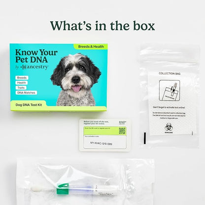 Ancestry Dog DNA Test: The Top-Selling DNA Consumer Brand, Breed Identification, Trait Insights, Health Report, Canine Genetics Analysis, Unique Pet Parent Gift, New Puppy Essentials