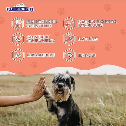 Nutri Bites Freeze Dried Salmon Dog & Cat Treats | Healthy Pet Training Treats or Food Topper | All Natural, 1 Single Animal Protein, High Protein | Premium Bulk Value Pack, 14 oz