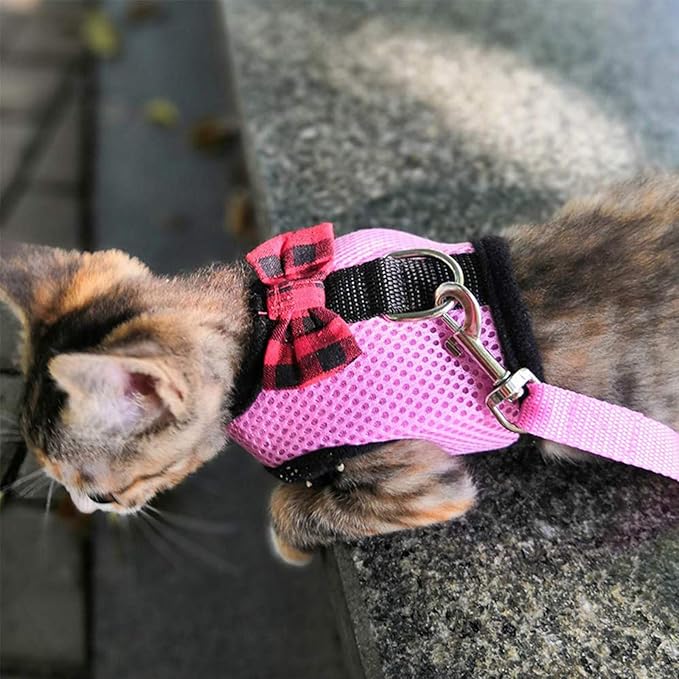 Rypet Ferret Harness and Leash 2 Pieces - Soft Mesh Small Pet Harness with Safe Bell, No Pull Comfort Padded Vest for Guinea Pig, Hamster, Rats and Similar Small Animals