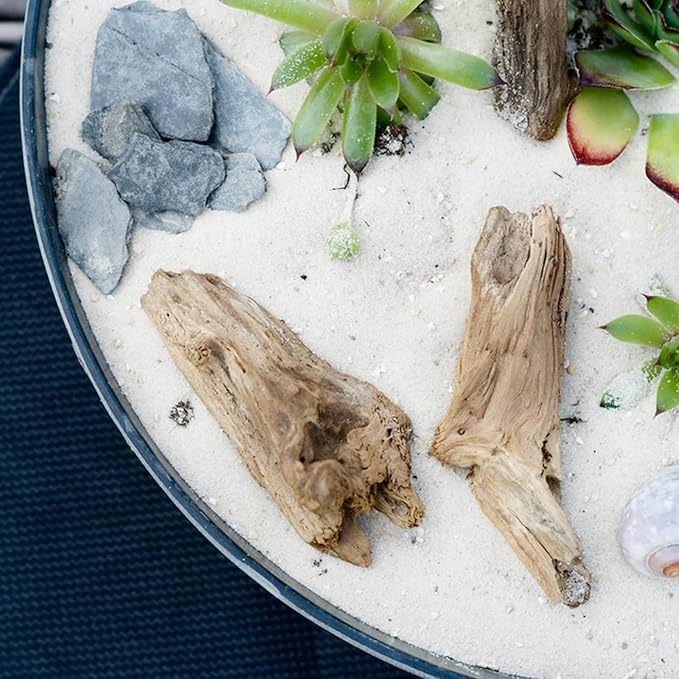 5 lbs Aquarium White Sand, 0.4-0.8 mm Aquarium Substrate for Fish Tank. Decorative Sand for Fish Tank, Paintings, Plants Potted, Fire Pits, Candle, Vase and Crafts