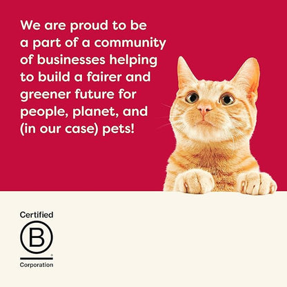 Applaws Natural Wet Canned Cat Food, Limited and Natural Ingredients, High Protein with No Artificial Additives, Holiday Edition Cat Food Variety Pack in Broth (6 x 2.47oz Cans)