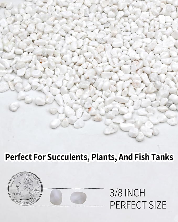 6LB White Succulent & Cactus Gravel Pebbles - 1/4-3/8 Inch Natural Polished River Rocks, Decorative Stones for Plants, Terrariums, Vases, Aquariums & Outdoor Gardening