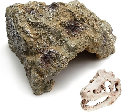 Reptile Rock Reptile Cave Hideout for Snakes/Geckos/Lizards/Turtles and Other Amphibians, with Dinosaur Skull (Small)