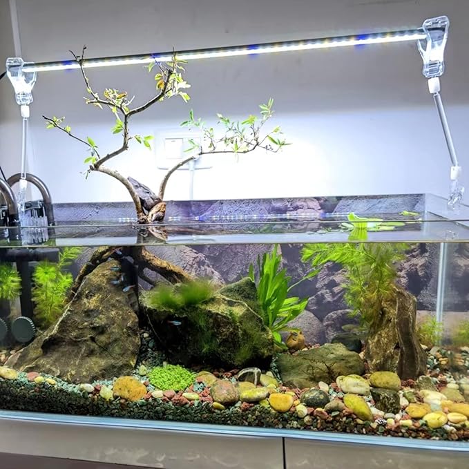 6 Pack Aquarium Suction Cups with Clips - Fish Tank Accessories - Veggie Clips & Air Pump Accessories