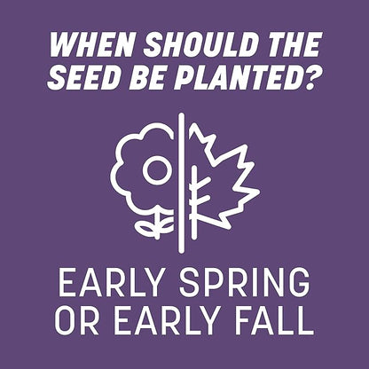 Pennington Smart Seed Dense Shade Grass Mix Bag 7 lb