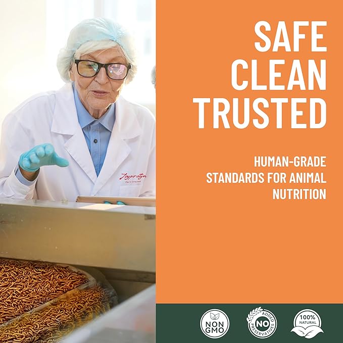 10LB Non-GMO Dried Black Soldier Fly Larvae for Chicken – 85X More Calcium Grubs Than Mealworms for Strong Eggshells & Healthy Growth - High Protein for Chickens, Birds, Ducks, Geese & Pets