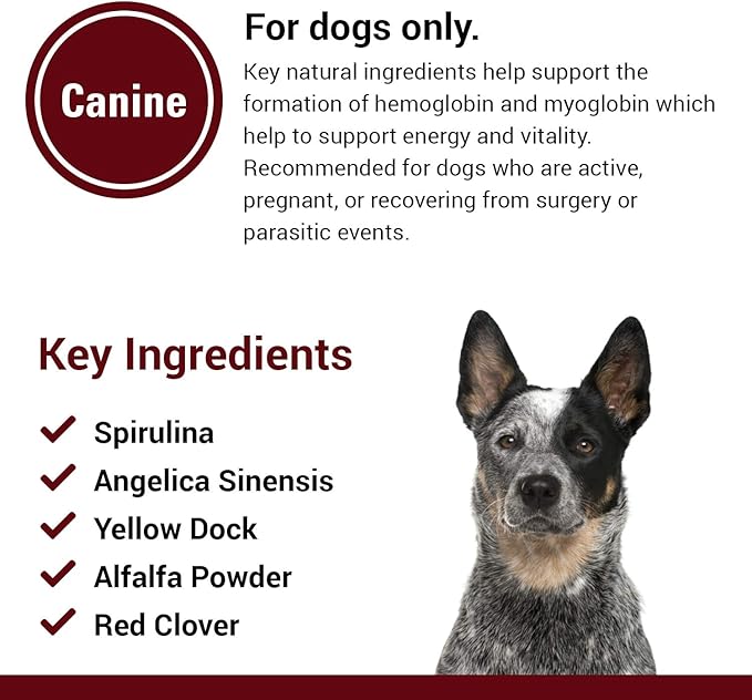 Vet Classics Blood & Energy Support for Dogs, Supports Endurance with Spirulina, Yellow Dock, & Alfalfa Support Formation of Hemoglobin and Myoglobin, 120 Chewable Tablets