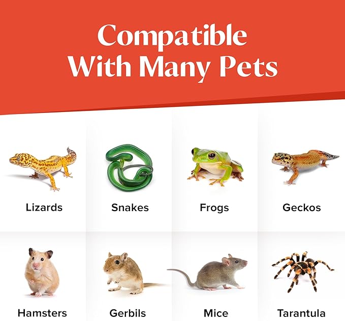 Gecko Cave Reptile Hide – Naturalistic Terrarium Shelter for Geckos, Lizards, Snakes, Bearded Dragons, Tortoises & Other Reptiles - Black