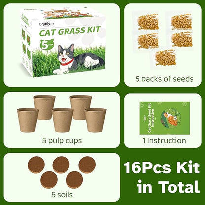 5Pack Cat Grass Seeds Kit - Cat Grass Seeds Growing Set for Indoor Cats, Non GMO Wheat Seed, Nutrient Soil & Planting Tools, Quick Germination, Perfect for Beginners