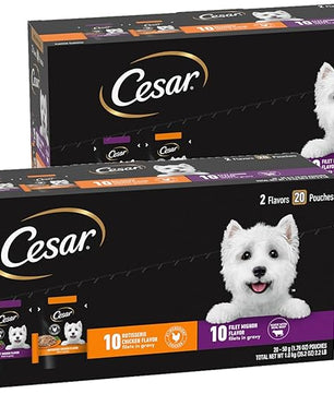 Cesar Filets in Gravy Wet Dog Food Filet Mignon Flavor and Rotisserie Chicken Flavor Variety Pack, 1.76 oz. Mini-Pouches (20 Count, Pack of 2)