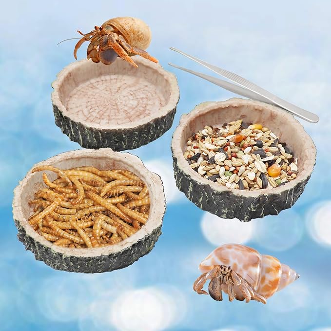 3 Pack Reptile Water Dish Food Bowls, Hermit Crab Food Dish with Feeding Tongs, Bearded Dragon Water Bowl, Suitable for Hermit Crab Lizard Gecko Tortoise Turtle Frog Leopard Crested Gecko
