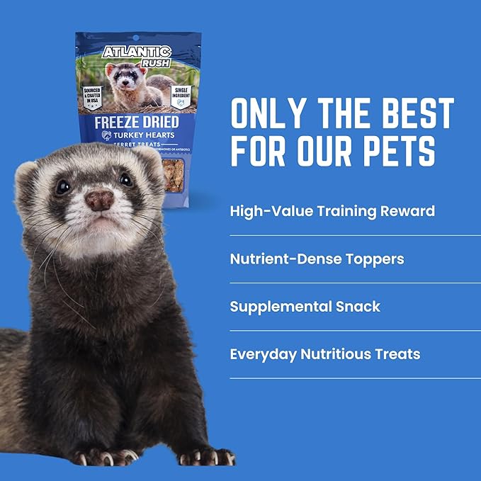 Freeze Dried Small Pet Treats - Resealable Bag of Treats for Ferrets - Ferret Snacks - Single Ingredient Ferret Food With No Preservatives Or Fillers- Small Animals Treats (1 oz, Turkey Heart)
