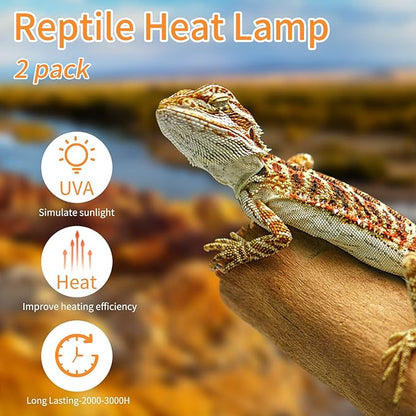 New Upgrade Reptile Heat Lamp Bulb (3rd Gen No Broken), 100W 2 Pack Basking Spot Light for Reptiles & Amphibians,UVA Daylight Heat Bulb for Bearded Dragon, Turtle