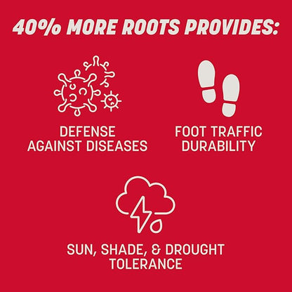 Pennington The Rebels Tall Fescue Grass Seed Mix 3 lb