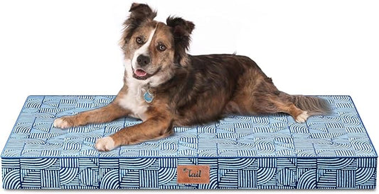 Orthopedic Dog Bed for Large Size Dogs, Big Waterproof Dog Bed Washable Pet Bed for Large Dogs with Egg Crate Foam Pet Mat, Removable Oxford Cooling Cover, White Blue