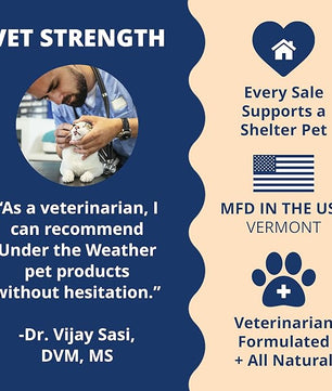 Under the Weather Pet Electrolytes Ready Cal Plus Gel for Cats | Vet-Formulated High-Calorie Supplement for Cats & Kittens | Promotes Weight Gain & Boosts Energy for Sick Felines | 3.5 Oz Tube Pack