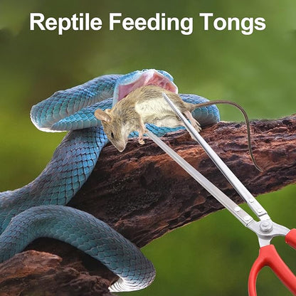 Reptile Feeding Tongs, Extended Stainless Steel Snake Feeding Tongs, Straight and Curved Feeding Tongs, can be Used for Snakes, Reptiles, Bathtubs, Aquarium Terrarium Supplies（15 "）