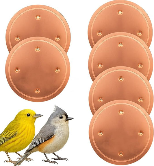 6 Pcs Bird Bath Copper Disk, 0.6mm Premium 99.99% Copper Insert with Raised Point, Fits Most Bird Baths for Indoor Outdoor Garden Backyard – 4” Diameter