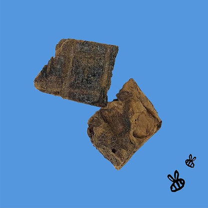 Honey I'm Home, Lung Bites Buffalo Dog Treats, 3.1 Ounces - All Natural, Free Range, Healthy, Grain Free, Honey Coated & Crispy