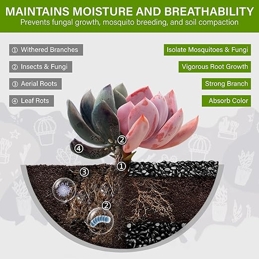 NUPICK 12lb River Rocks for Plants Indoor, 3/8 Inch Black Pebbles for Vases Fillers, Decorative Pea Gravel for Fish Tank, Natural Polished Stones for Succulent, Bonsai, Landscaping, Bird Baths