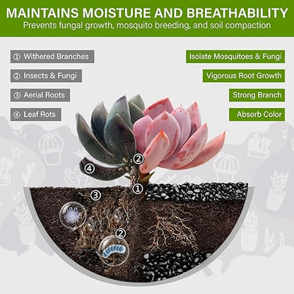 NUPICK 6lb River Rocks for Plants Indoor, 3/8 Inch Black Pebbles for Vases Fillers, Decorative Pea Gravel for Fish Tank, Natural Polished Stones for Succulent, Bonsai, Landscaping, Bird Baths