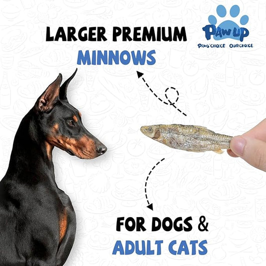 Freeze Dried Minnows Dogs Treats – 100% Raw Single-Ingredient Pet Fish Snacks – Rich in Omega-3, Grain-Free – Healthy Training Rewards & Meal Toppers, 2.8 oz