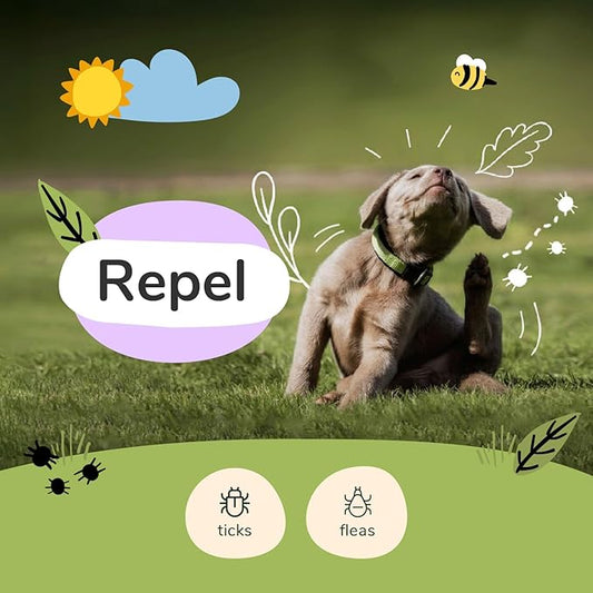 Flea|Tick Protect Spray - Lavender (32oz)