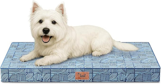 Outdoor Dog Bed for Small Dogs, Waterproof Dog Crate Bed for Puppy Dogs, Orthopedic Egg Crate Foam Pet Mat with Washable Removable Oxford Cover, White Blue