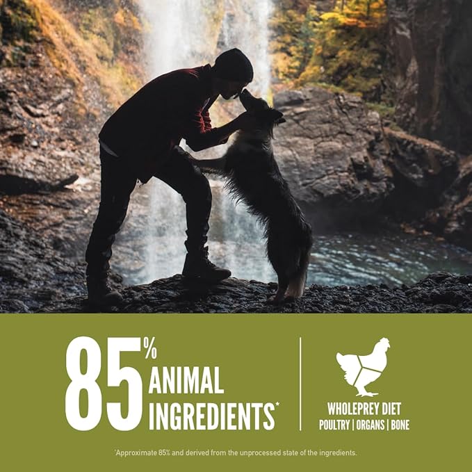 ORIJEN Grain Free High Protein Dry Dog Food Senior Recipe 13lb Bag