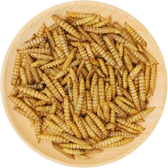 Premium Chicken Treats 10LB - Non-GMO & 85X More Calcium Than Meal Worms - Molting & Laying Supplement - BSF Larvae Treats for Layer Hens, Ducks Wild Birds