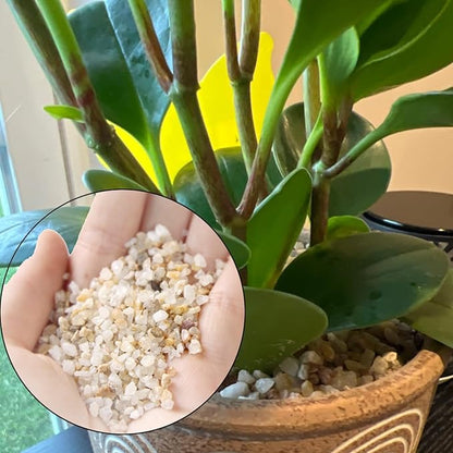 1 LB Fine Natural Silsand, Coarse Silica Sand for Plants, Aquariums, Fire Pits, Terrariums, Cactus and Succulent Plants & Garden Sand Grit