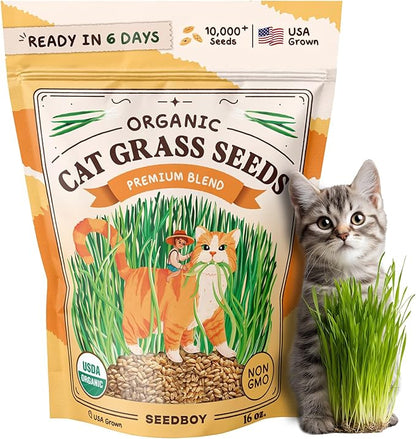 Seedboy Organic Cat Grass Seeds for Planting, Non-GMO Wheat, Oat, Rye, and Barley Pet Grass Seeds for Indoor Cats (16 oz)