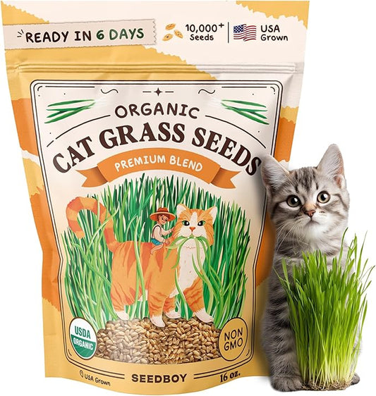 Seedboy Organic Cat Grass Seeds for Planting, Non-GMO Wheat, Oat, Rye, and Barley Pet Grass Seeds for Indoor Cats (16 oz)