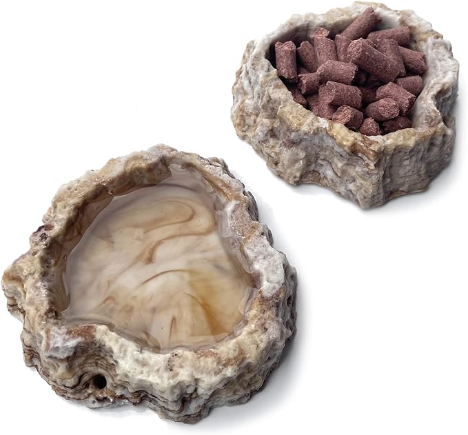 2 Pack Reptile Food Bowls - Reptile Water and Food Bowls with Tongs Imitating Natural Rock，Breadworm Feeding for Leopard Gecko Lizard Spider Scorpion Chameleon (2 Pcs Light Color)