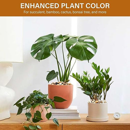 NUPICK 12lb River Rocks for Plants Indoor, 3/8 Inch Mixed Pebbles for Vase Fillers, Decorative Pea Gravel for Fish Tank, Natural Polished Stones for Succulent, Bonsai, Landscaping, Bird Baths