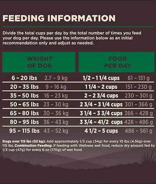 Wellness CORE Dry Dog Food, Grain Free, High Protein, Natural, Lamb Recipe, (22-Pound Bag)