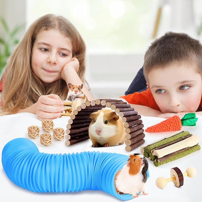 Kyouki Hamster Toys Guinea Pig Toys Set with Tunnel, Chewable Apple Wood & Natural Timothy Hay - Enrichment Chew Toys for Small Animals - 24+ Cage Accessories for Teeth Care & Boredom Relief (Blue)