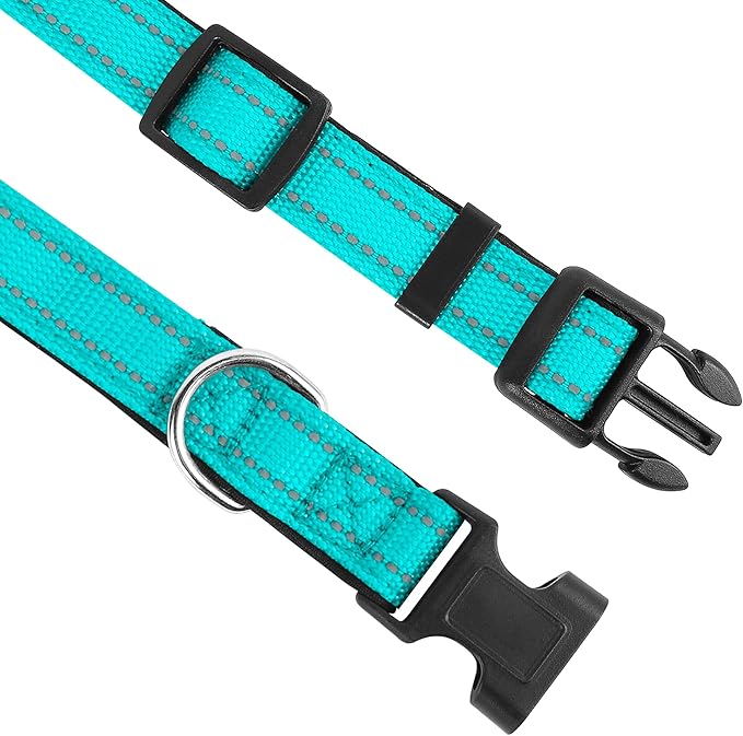 Reflective Dog Collar, Adjustable Soft Neoprene Padded Nylon Pet Collars with Buckle for Large Dogs, Teal,L