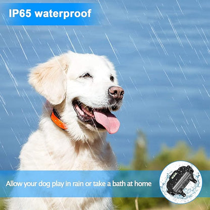 Dog Training Collar Shock Collars for Dogs with Remote 2600 Ft Remote Control Range 4 Modes Beep Vibration Shock Built-in Bright Led Light Rechargeable Waterproof (Black, for 3 Dogs)