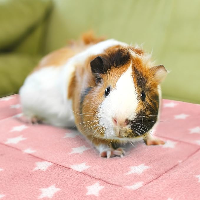 5PCS Guinea Pig Bed Soft Rabbit Bedding Cage Liner Warm Bunny Mats Pee Pads Fleece Blanket Plush Hamster Sleep Beds Ferret Squirrel Hedgehog Rat