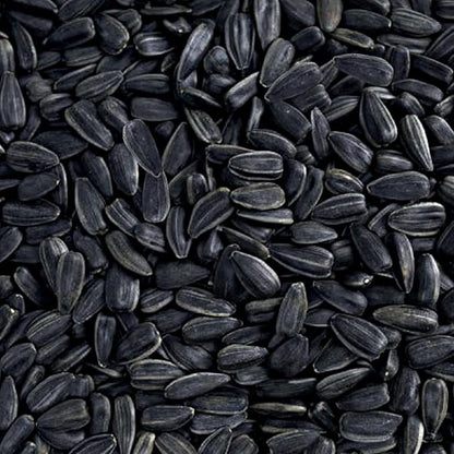 Black Oil Sunflower Seeds Wild Bird Food- 15 Pounds | No Grow Seed | Bird Seed for Wild Birds