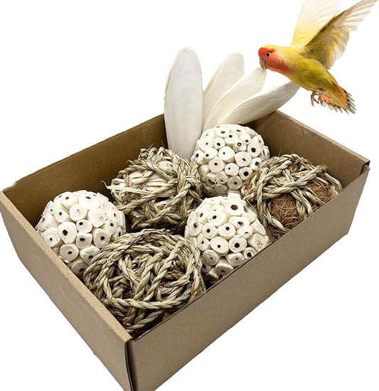 Bird Toys Sola Balls Parakeet Toys Soft Natural Chew Grass Balls with Cuttlebone for Parrots Conures Rabbits Hamster Guinea Pig Chinchilla (Style 1, 10 PCS)