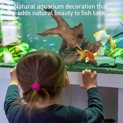WDEFUN Natural Driftwood for Aquarium Decor, 10-Piece 2''-5'' Small Driftwood for Decorations on Fish Tank, Reptiles Bearded Dragon Accessories or Air Plants