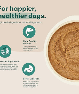 Jinx Premium Wet Dog Food Cans - Salmon Pate - Grain-Free Canned Dog Food Pate & Topper with Real Ingredients & No Fillers - All Life Stages, Breeds & Sizes - 12-Pack, 13 Oz