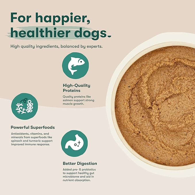 Jinx Premium Wet Dog Food Cans - Salmon Pate - Grain-Free Canned Dog Food Pate & Topper with Real Ingredients & No Fillers - All Life Stages, Breeds & Sizes - 12-Pack, 13 Oz