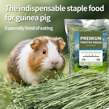 Oven-Baked Timothy Hay for Guinea Pigs, Rabbits & Chinchillas, All Natural High Fiber Food for Digestive Health, 1.1 LB