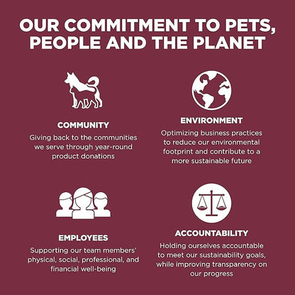 Go! Solutions Sensitivities Limited Ingredients, Grain-Free Dry Dog Food, Lamb Recipe for Sensitive Stomach, 12 lb Bag